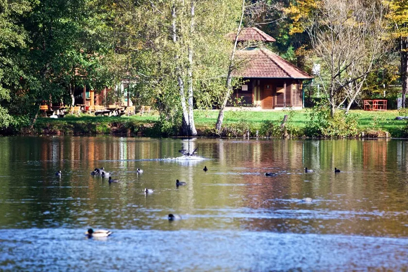 Wasgau - View - Appartamento a Schöntalweiher - Image 1