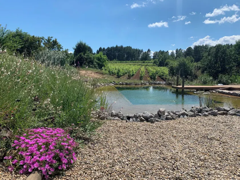 ØKOLOGISKE LAND KOMFORT MED NATURLIG POOL MIDT I VINES - Image 1