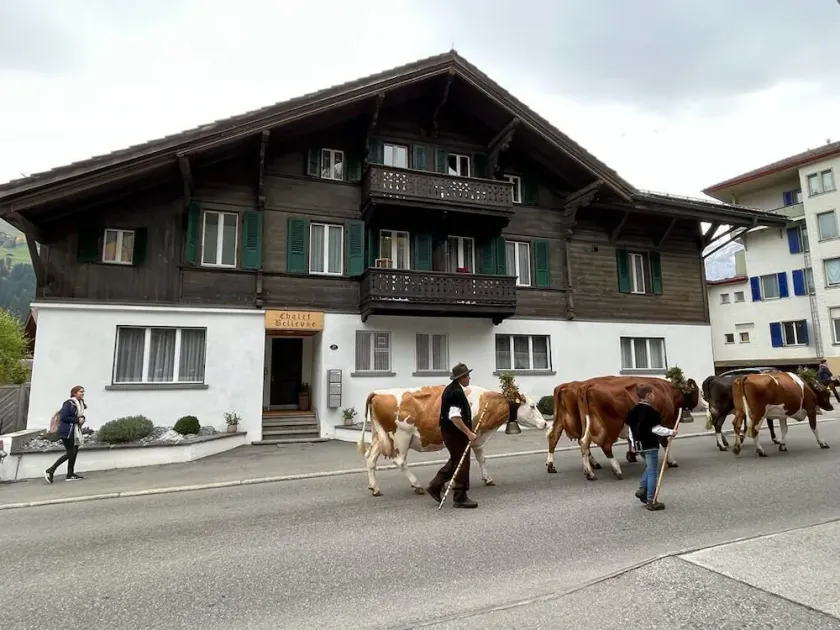 Large cozy apartment in center Lenk - Image 1