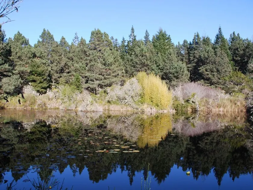 2 Seperate Cottages on 50 + acre Mendocino Tranquility Meadows Nature Sanctuary - Image 1