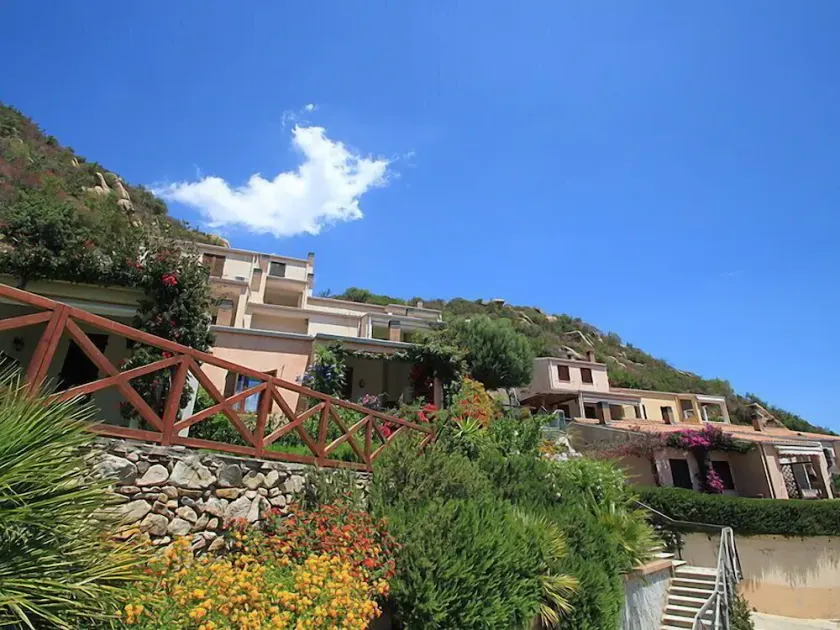 Casa Olivo Le ginestre - Image 1