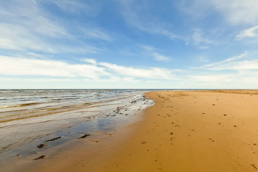 Blue Beach House - Walk to beach, AC, newly renovated, family approved! - Image 1