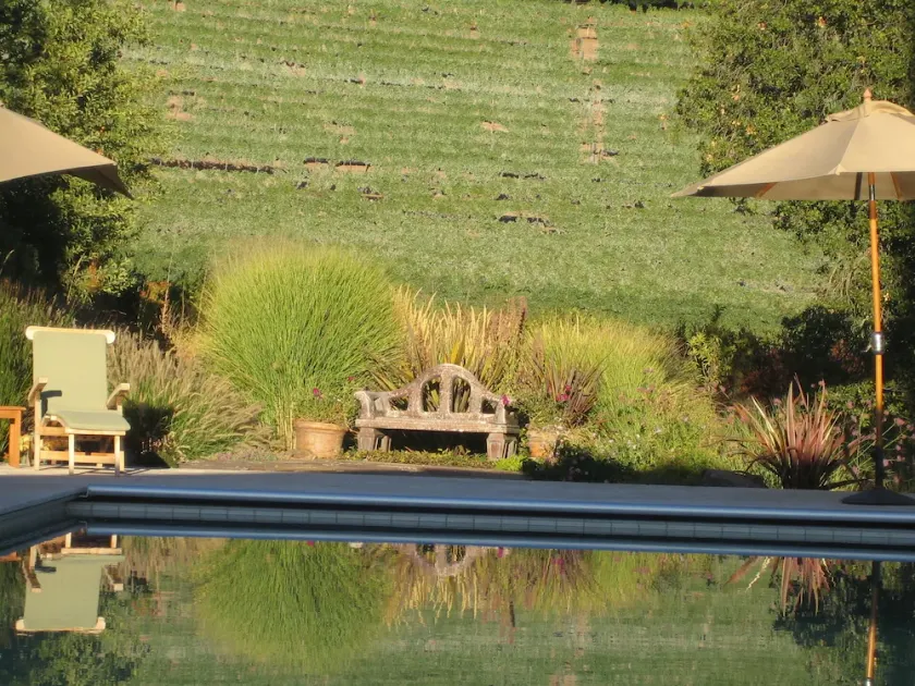 Vineyard FarmStay mit beheiztem Pool. Lieblingswein: Bar None's Canyon Old Vine Zin - Image 1