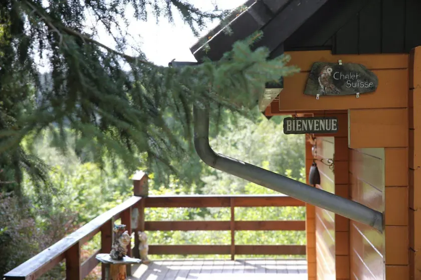 Modern chalet in Dochamps with terrace - Image 1