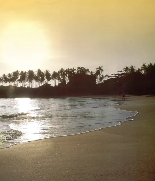 Vacation in a paradise - Image 1