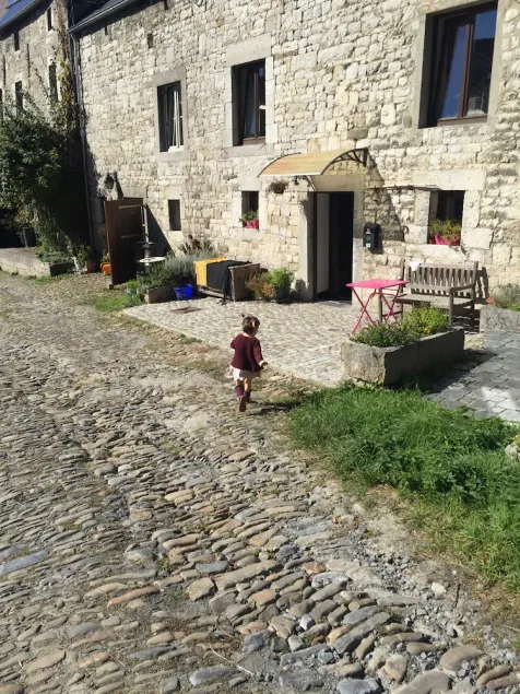 Authentic stone house in an old farmyard - Image 1
