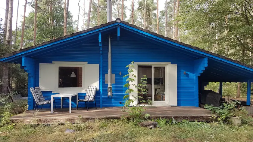 \"Forest bathing\" in Wendland, near the Elbe - hiking and cycling from the doorstep - Image 1