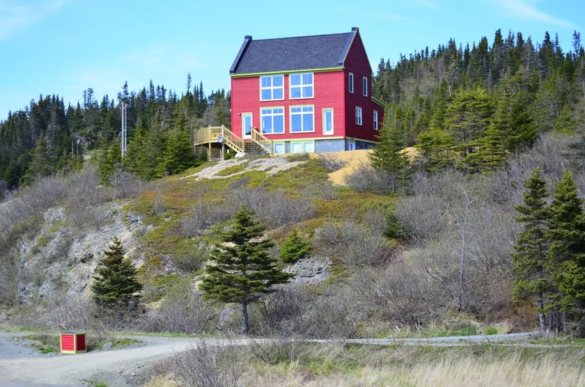 Tuckamore - Trinity East - Image 1