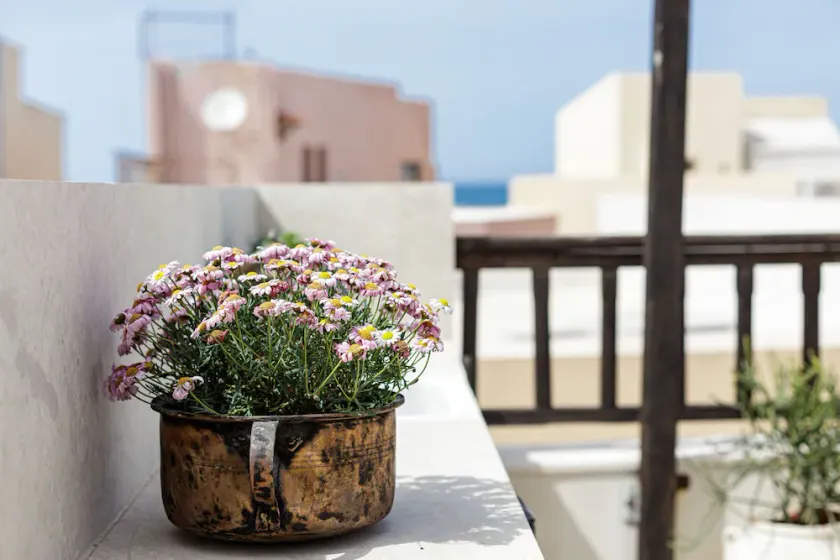 Antonia's Blue Apartment- Old town view - Image 1