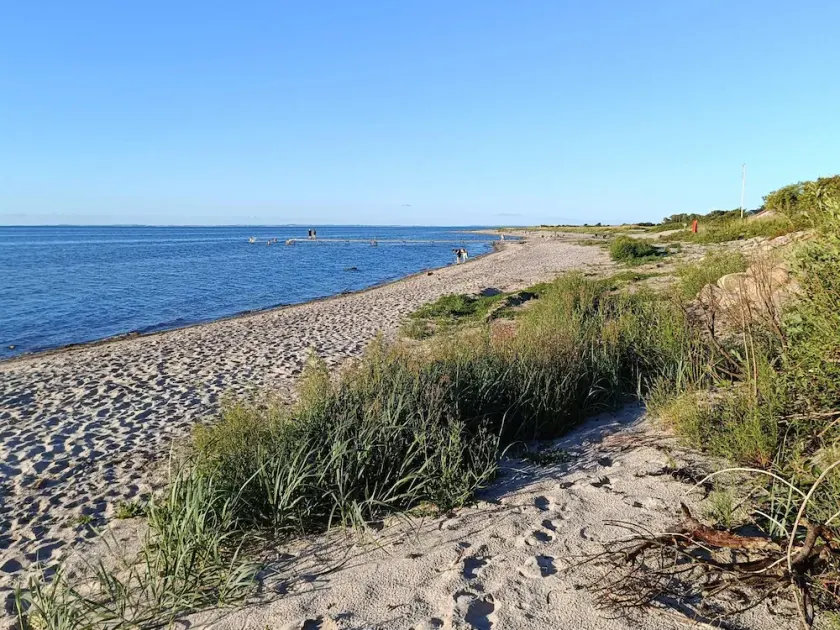 12 Person Holiday Home in Nordborg - Image 1