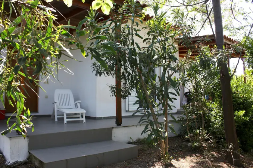 Calm located, amid an olive grove, close to the beach, wifi | holiday house Ilia - Image 1
