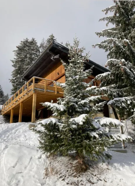 INDIVIDUAL CHALET AT THE FOOT OF TRACKS DOUCY / VALMOREL 10 pers - Image 1