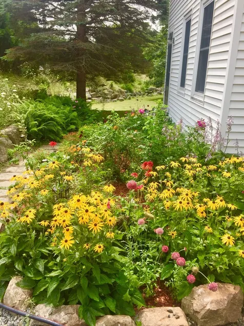FARMHOUSE RETREAT i ❤️ Of Acadia National Park / vilda blåbär på 3 tunnland! - Image 1