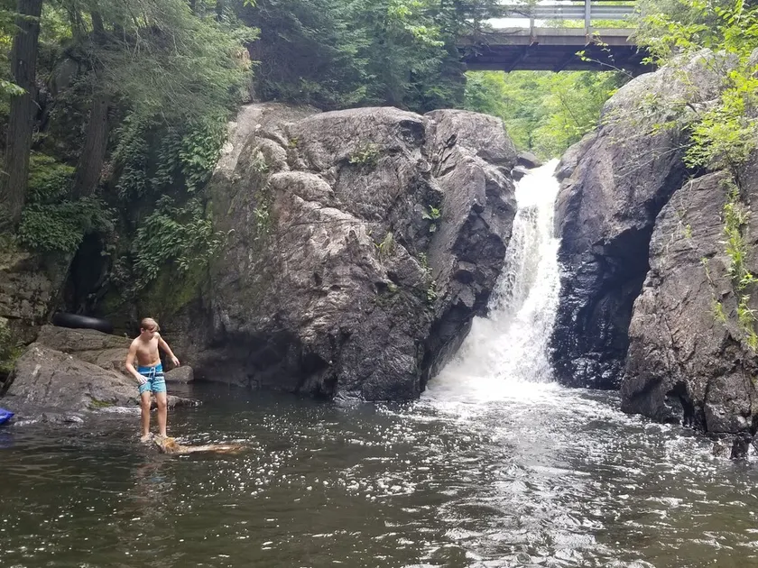 Unplug at Davey Fallls! Water view, Private waterfall & large swimming area. - Image 1