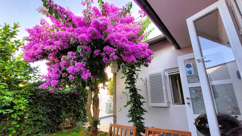 Family vacation house near protected area of Kamenjak, with yard, WiFi, Air-con - Image 1