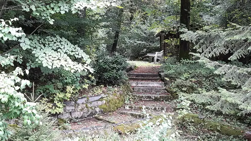 Haus Barnabas im Engel - Gasthaus Engel - Image 1