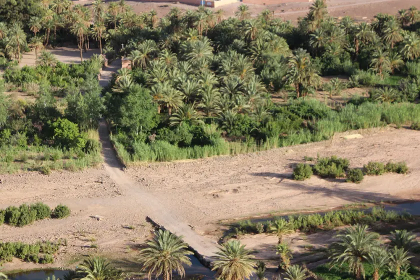 Chambre d’hôte l'oasis de Fint - Image 1