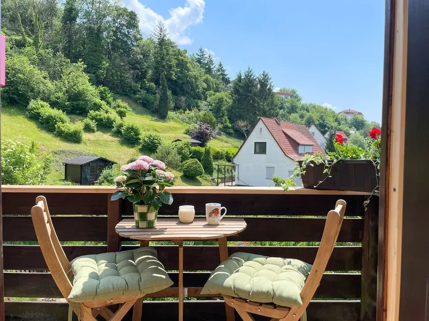 Vacation apartment Baumkrone - Holiday apartments at Lühmanns - Image 1