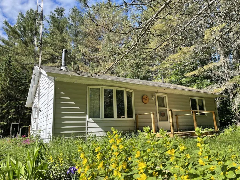 Cozy family cabin in the forest - Image 1