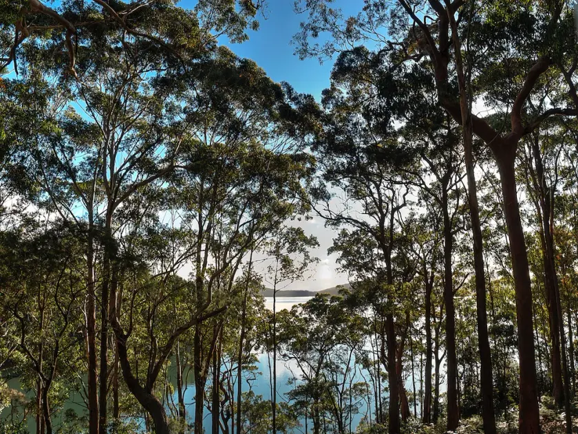 Aqua Vista - Image 1
