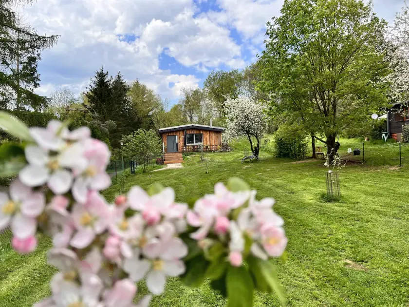 Ferienhaus II Zittertal Neustadt Harz  mit großem eingezäunten Garten - Image 1