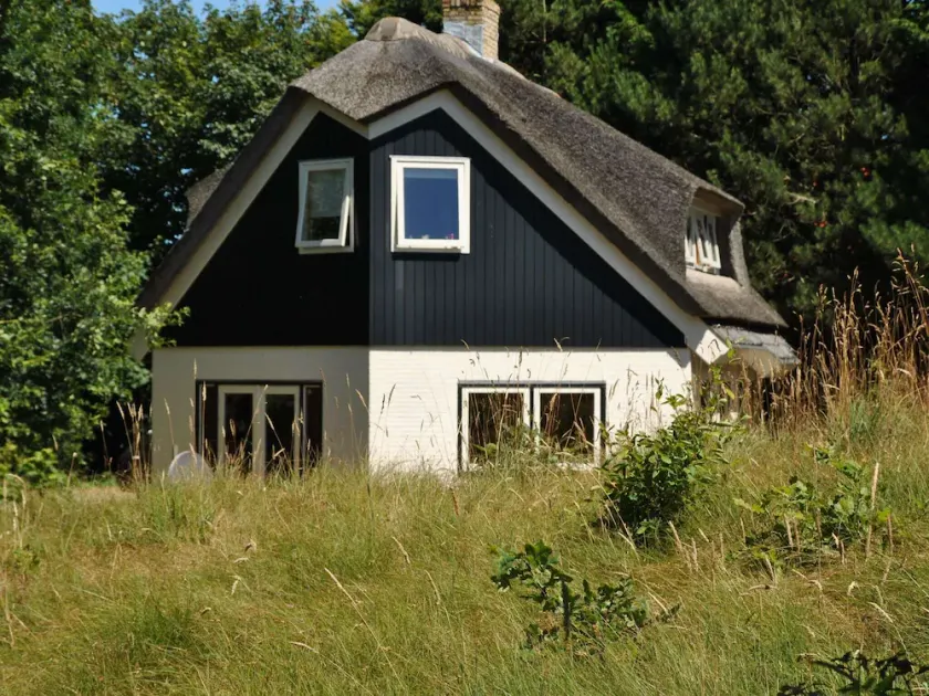 Luxury villa by the dunes - Image 1