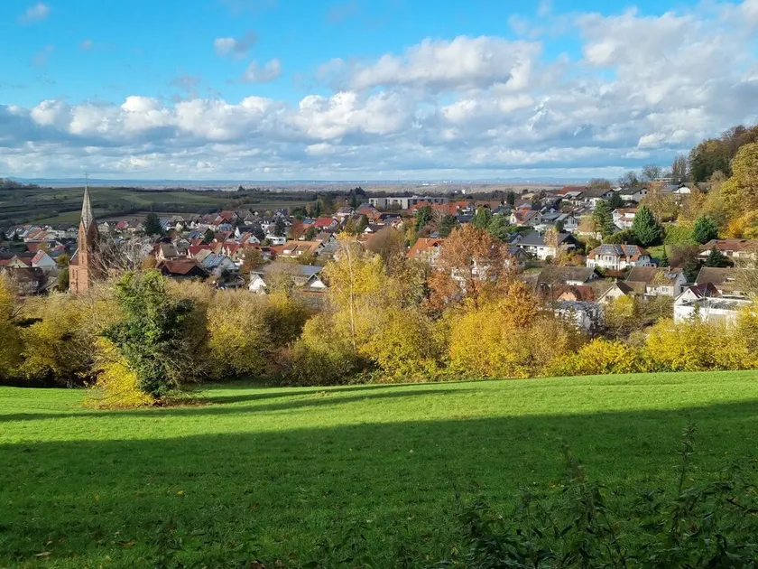 Ferienwohnung Waldblick - Image 1