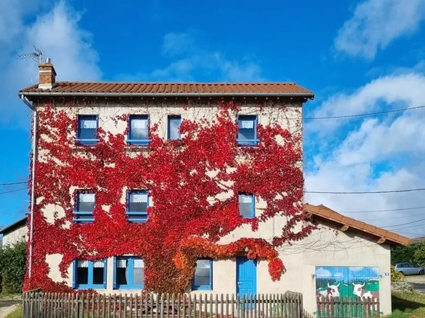 Maison de Village Indépendante avec Cour Fermée et Garage - Proche Sites Médievaux et Nature - Image 1