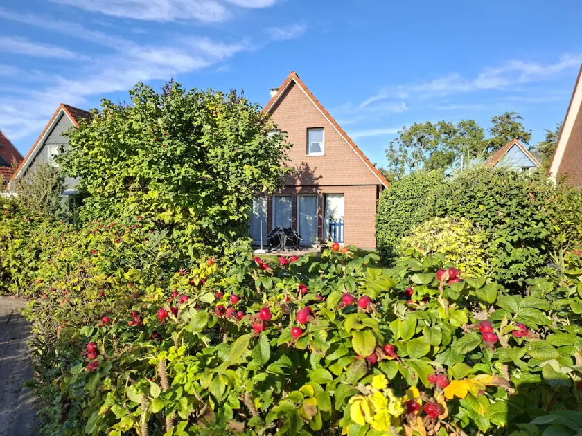 Ferienhaus für 5 Gäste mit 70m² in Wurster Nordseeküste - Image 1