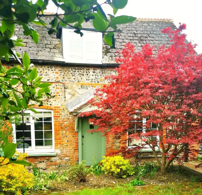 Beautiful, traditional rural cottage - Image 1