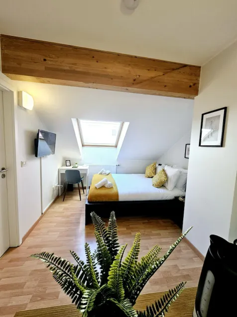 Compact Studio in Luxembourg - Image 1