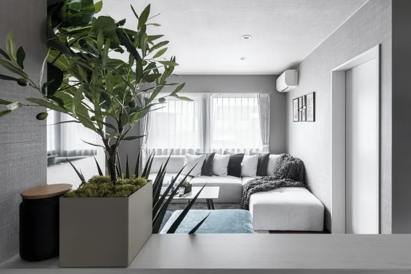 The Serenity - Image 1