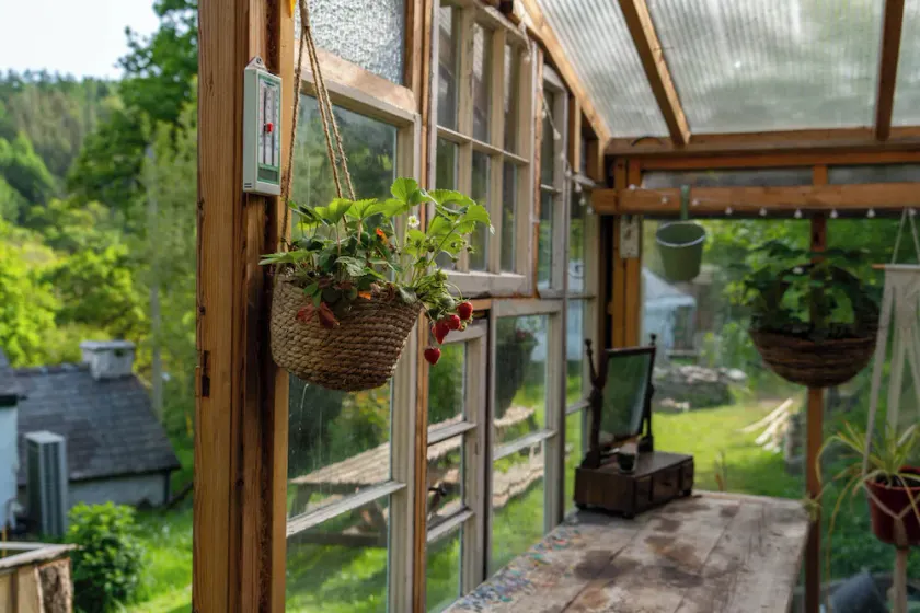 Hapus Hideaway Retreat Site, Sleeps 29 - Image 1