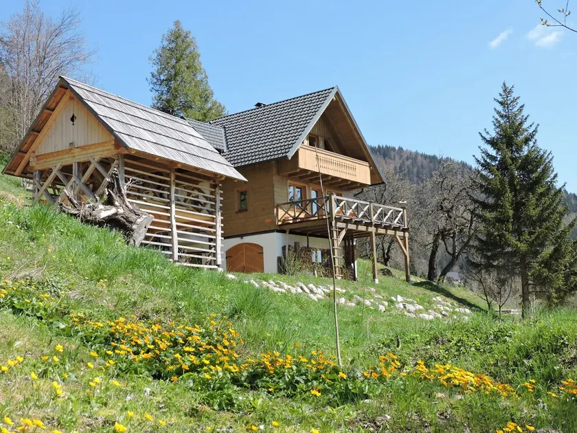Pure nature with amazing view - Image 1