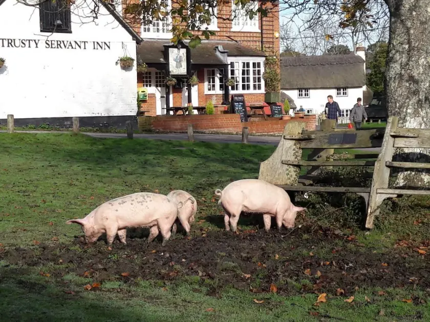 The Trusty Servant Inn - Image 1