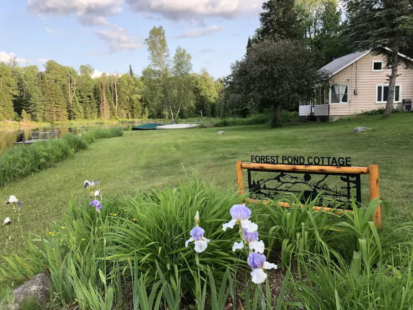 Adirondack Cottage - Four Season, Pet-Friendly, Cozy & Beautiful. Read  reviews! - Image 1