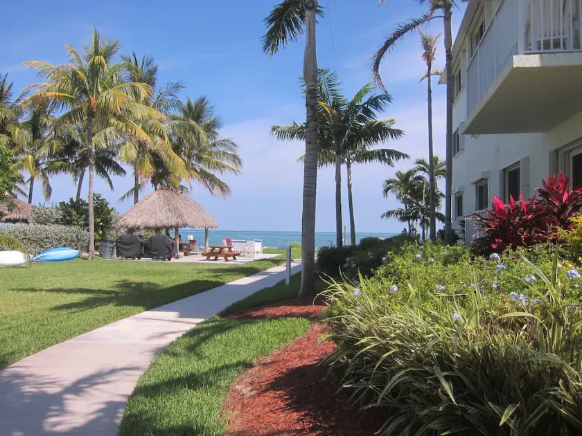 KCB Willkommen in Paradise !! - Image 1