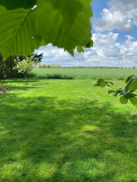Das Heidenest im Weiten Land - Image 1