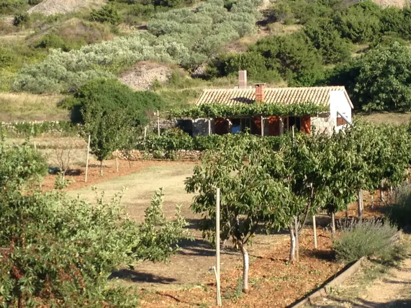 Secluded house with a parking space Podhumlje, Vis - 13984 - Image 1