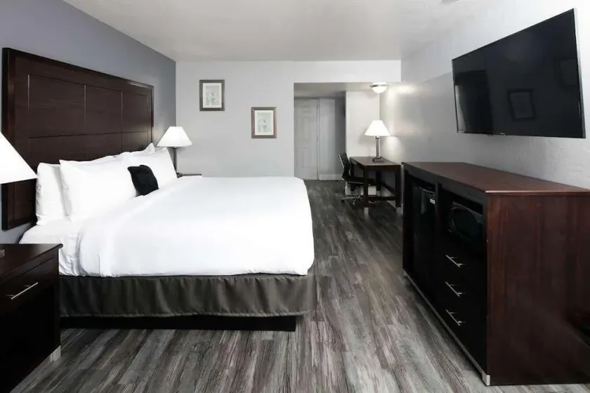 Your Home Away From Home! Outdoor Pool, Free Parking, Near Arizona Stadium - Image 1