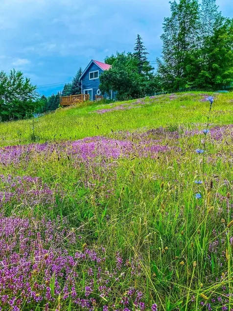 Cozy Adirondack Loft Near Lake Champlain & George, Hiking and Historical Sites - Image 1