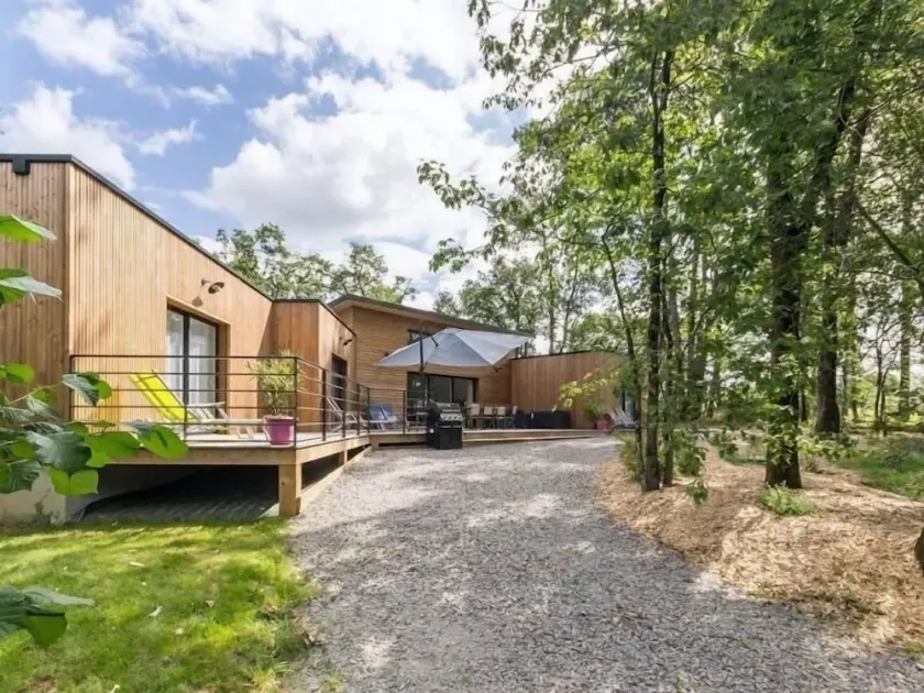 Spacious Modern Wooden House with Large Park, Terrace, and Game Amenities - Image 1
