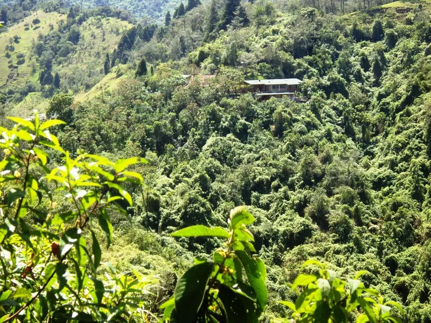 Abundant and peaceful nature in the vicinity of Quito - Image 1