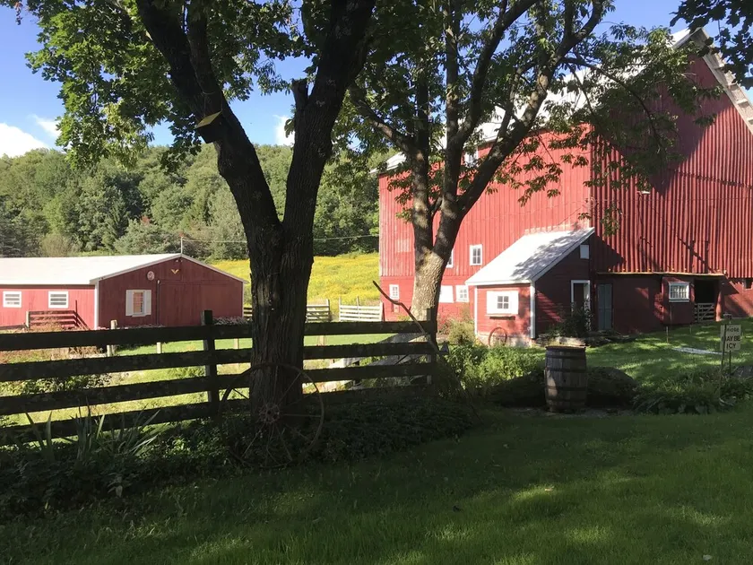 Winniebrook Farm - A beautiful 16 acre countryside farmstead - Image 1