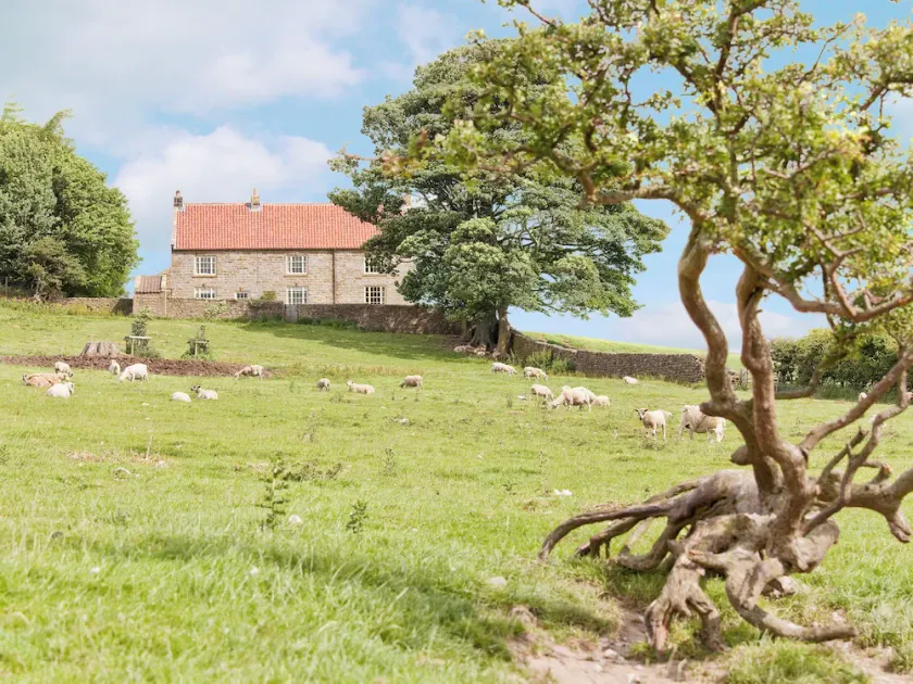5 værelses bolig i Kildale, near Whitby - Image 1