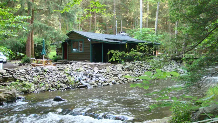 Installez-vous confortablement à Poconos Creek House de Big Al - DSL sans fil et truite !! - Image 1