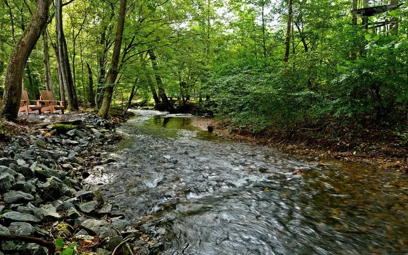 WOW !!!  Creek og store lager dam Waterfront Cabin i National Forest - Image 1