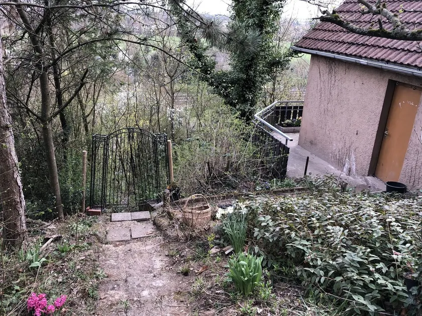 Renovierte Holz-lehmhütte mit Bestandschutz im Naturschutzgebiet - Image 1
