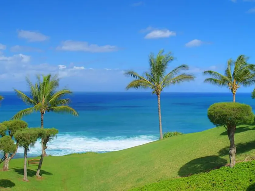 B10: 1 bedroom, 3rd floor, oceanview - Image 1