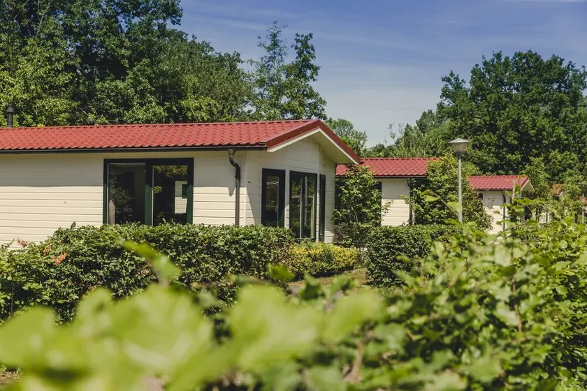 Relax and enjoy in this accommodation with sauna! - Image 1